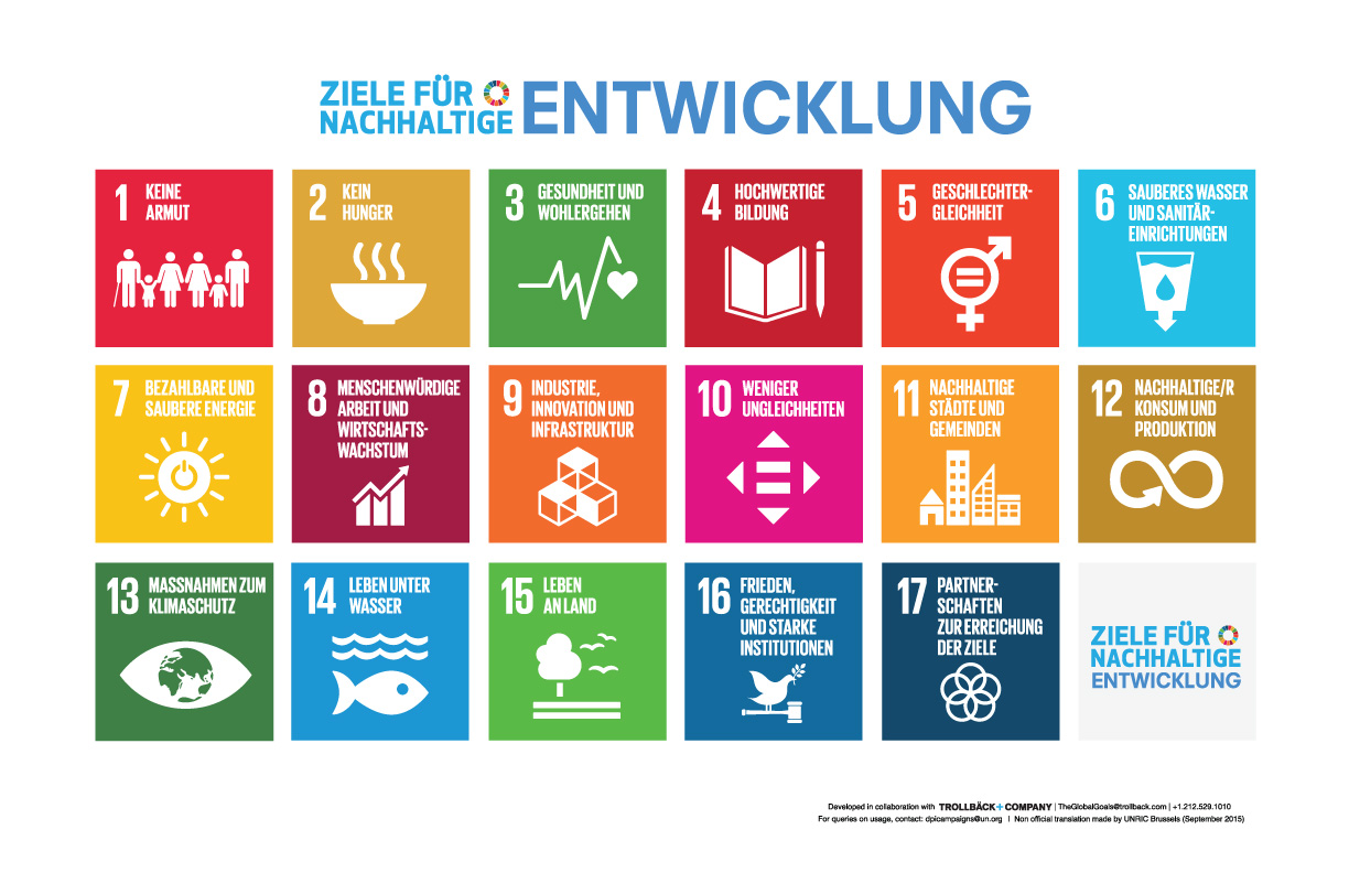 Die SDGs