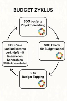Budgetzyklus