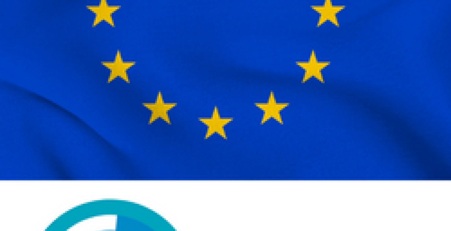 EU Flagge und LOGOV Logo