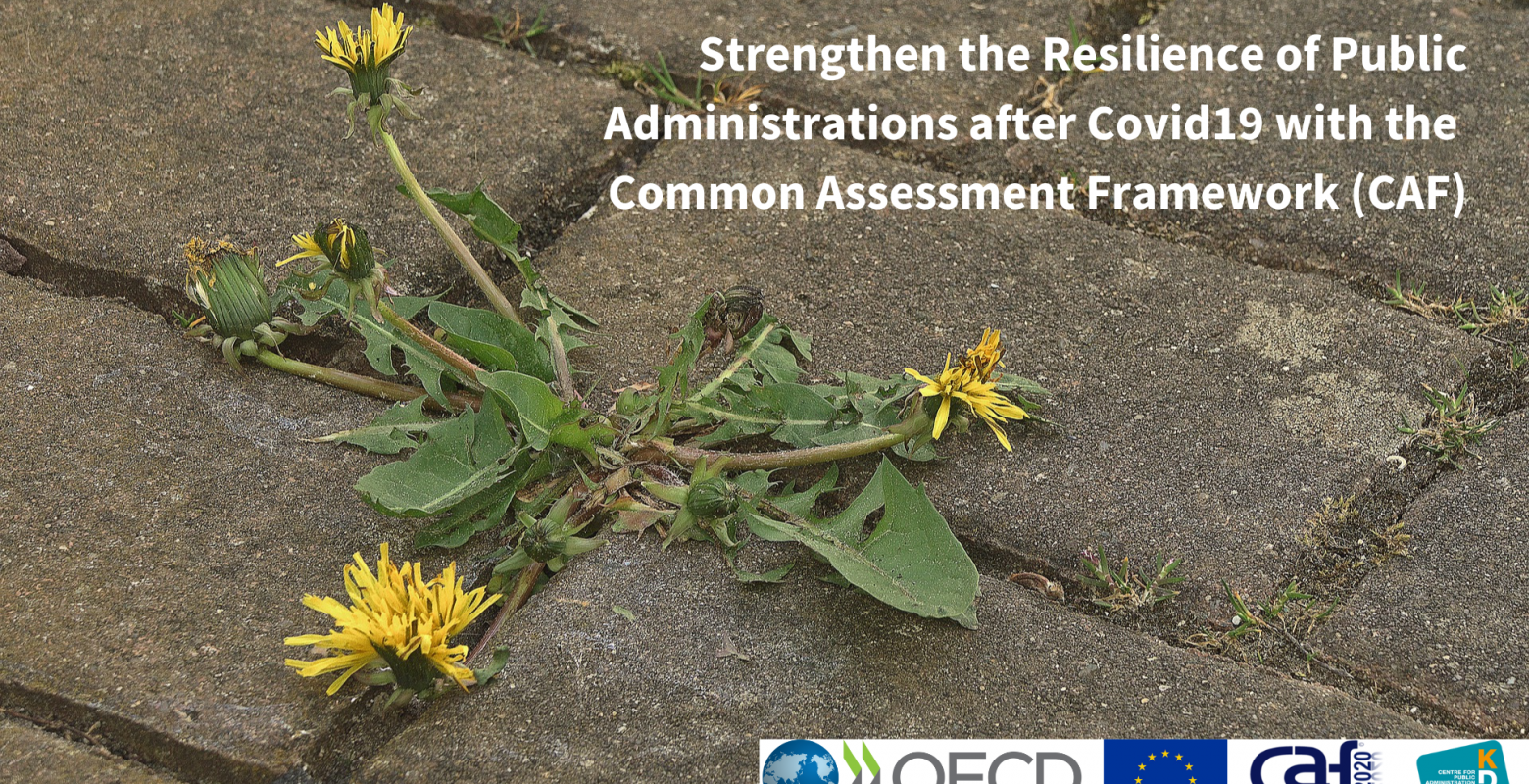 Strenghten the Resilience of Public Administrations after Covid19 with CAF