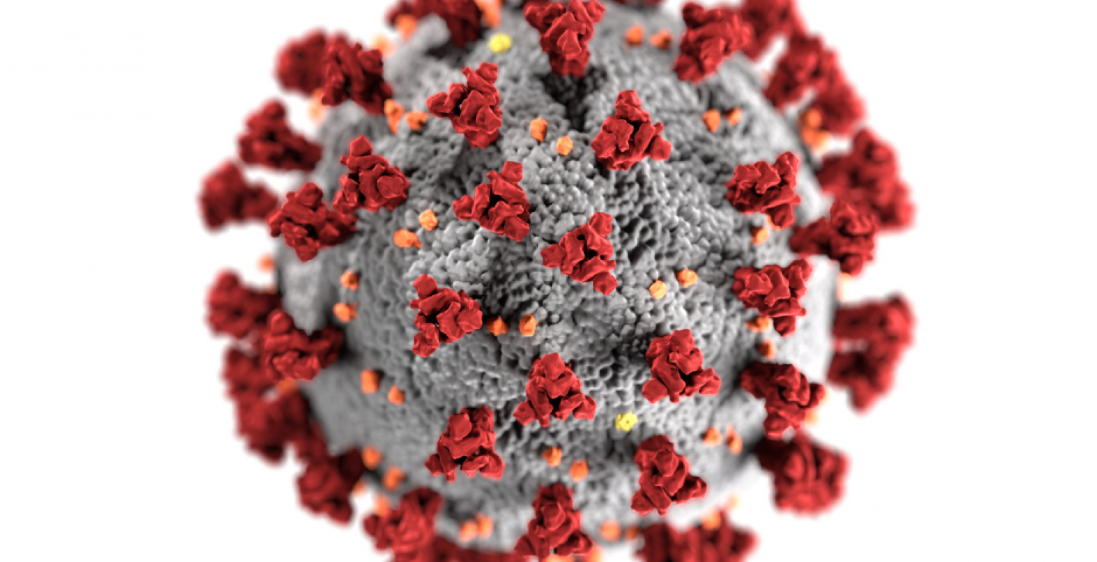 Coronavirus