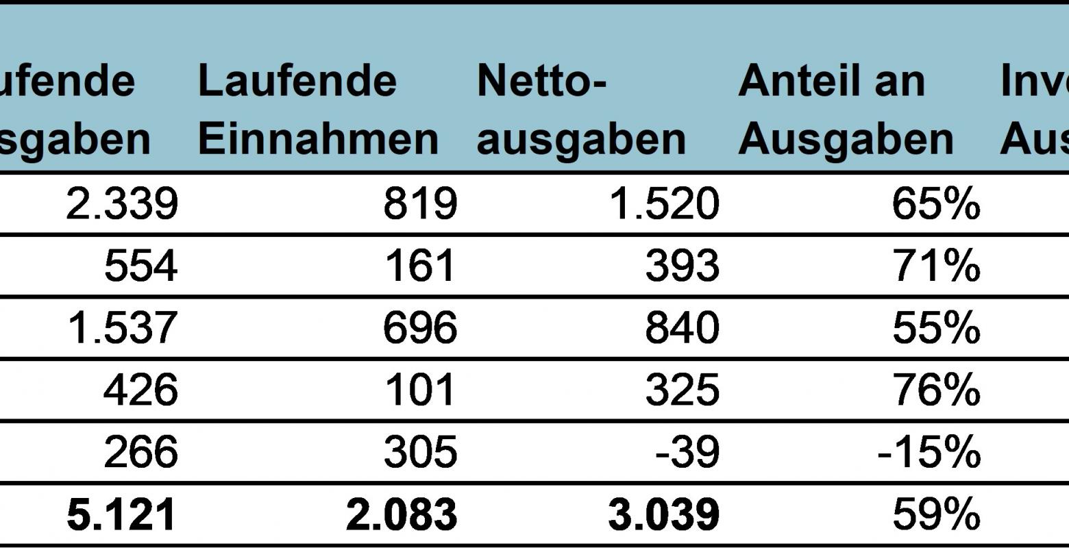 Nettoausgaben und Investitionen