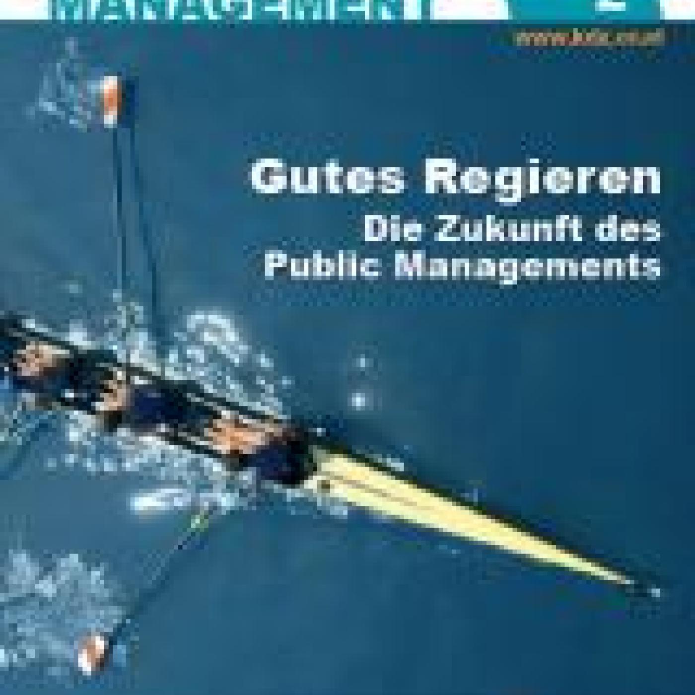 Titelseite FPM 2-2011
