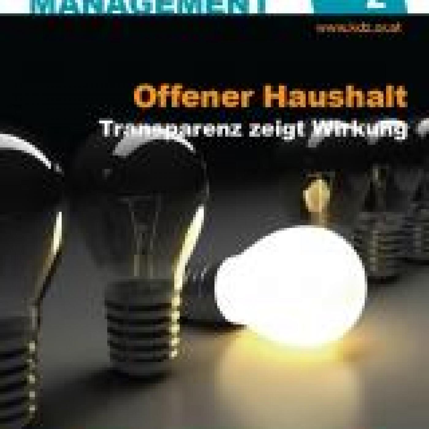 Titelseite FPM 4-2013