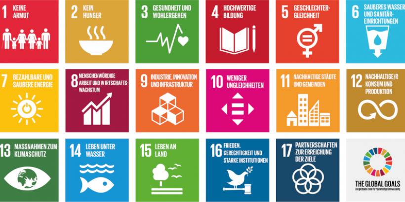 Die SDGs